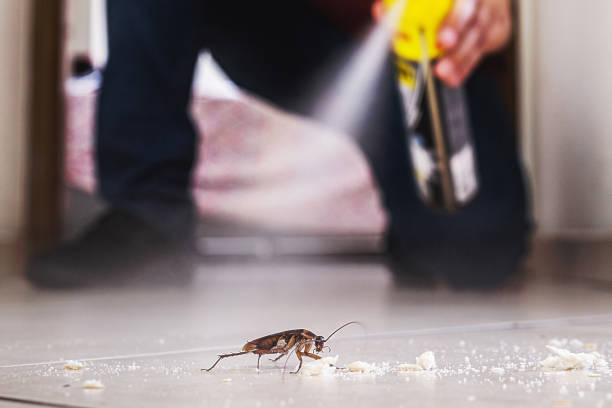 Best Cockroach Control Services  in Asbury Park, NJ